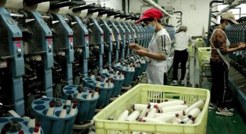 北湖區 訂單追著企業跑，服務圍著企業轉——紡織品產業的轉型與振興